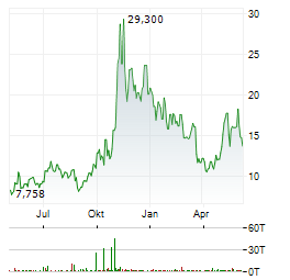 CANADIAN SOLAR INC Chart 1 Jahr