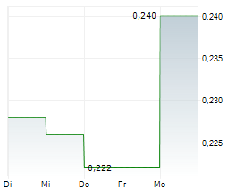 Company issued stock options