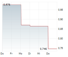 ALEEN INC Chart 1 Jahr