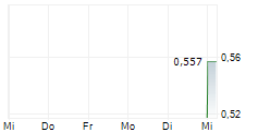 BLOSSOM GOLD INC 5-Tage-Chart
