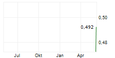 BLUMETRIC ENVIRONMENTAL INC Chart 1 Jahr