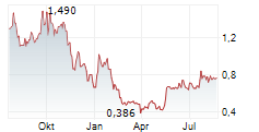 BRIGHTLINE INTERACTIVE INC Chart 1 Jahr