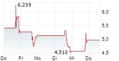BRIGHTLINE INTERACTIVE INC 5-Tage-Chart