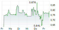 BRIGHTLINE INTERACTIVE INC 5-Tage-Chart