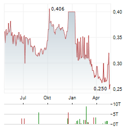 CHINA RISUN GROUP Aktie Chart 1 Jahr