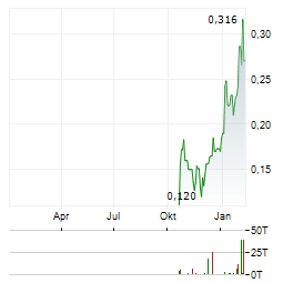 COPPERNICO METALS Aktie Chart 1 Jahr