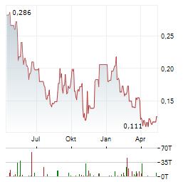 COSA RESOURCES Aktie Chart 1 Jahr