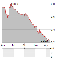 CT AUTOMOTIVE GROUP Aktie Chart 1 Jahr