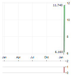 DIGITAL BRANDS GROUP Aktie Chart 1 Jahr