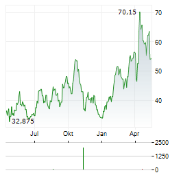 DIREXION DAILY GOLD MINERS INDEX BULL 2X SHARES Aktie Chart 1 Jahr