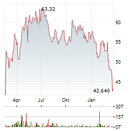 DIREXION DAILY MSCI INDIA BULL 2X Aktie Chart 1 Jahr