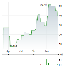DIREXION DAILY SEMICONDUCTOR BULL 3X Aktie Chart 1 Jahr