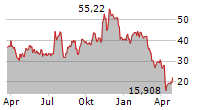 DIREXION DAILY SMALL CAP BULL 3X SHARES Chart 1 Jahr