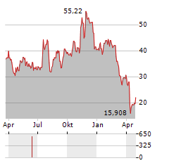 DIREXION DAILY SMALL CAP BULL 3X Aktie Chart 1 Jahr