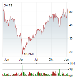 DIREXION DAILY SMALL CAP BULL 3X SHARES Jahres Chart