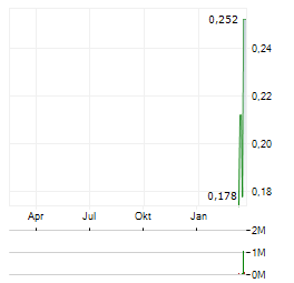 DOMESTIC METALS Aktie Chart 1 Jahr