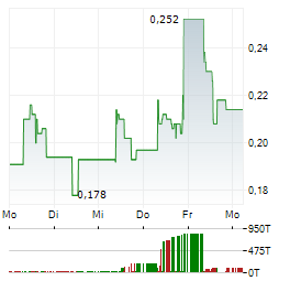 DOMESTIC METALS Aktie 5-Tage-Chart