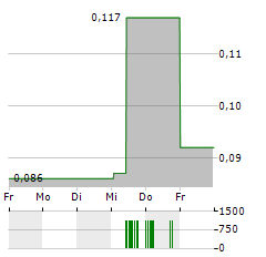 DP POLAND Aktie 5-Tage-Chart