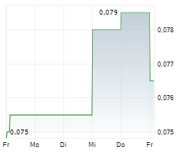 DYNASTY GOLD CORP Chart 1 Jahr