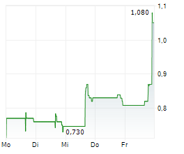 E-POWER INC Chart 1 Jahr
