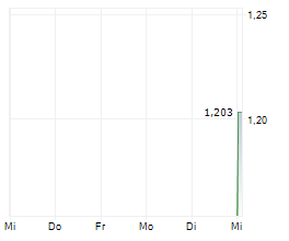 ELEVATE SERVICE GROUP INC Chart 1 Jahr