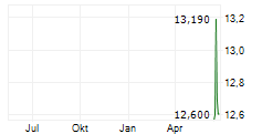 FIRST CAROLINA FINANCIAL SERVICES INC Chart 1 Jahr