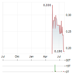ICG SILVER & GOLD Aktie Chart 1 Jahr