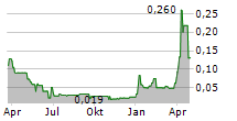 INTEGRATED CYBER SOLUTIONS INC Chart 1 Jahr