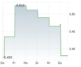 LINDIAN RESOURCES LIMITED Chart 1 Jahr