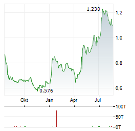 LITIUM Aktie Chart 1 Jahr