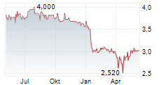 META WOLF AG Chart 1 Jahr