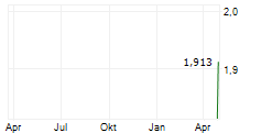 NET PROTECTIONS HOLDINGS INC Chart 1 Jahr