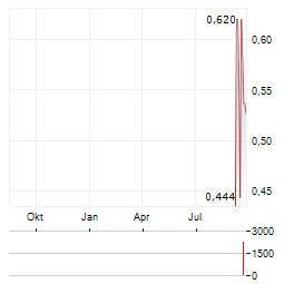 NEVADA KING GOLD Aktie Chart 1 Jahr