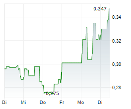 NEWCORE GOLD LTD Chart 1 Jahr NEWCORE GOLD LTD Chart 1 Jahr