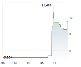 NEWEGG COMMERCE INC Chart 1 Jahr