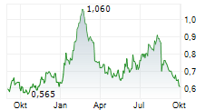 NINE DRAGONS PAPER HOLDINGS LTD Chart 1 Jahr