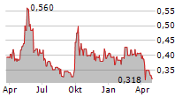 NINE DRAGONS PAPER HOLDINGS LTD Chart 1 Jahr