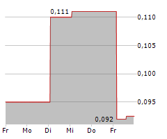 PANGEA NATURAL FOODS INC Chart 1 Jahr