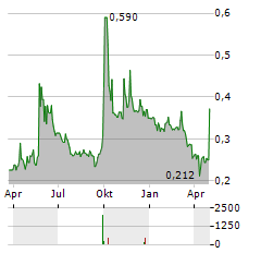 RADIANCE HOLDINGS Aktie Chart 1 Jahr