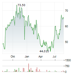 RADNET Aktie Chart 1 Jahr
