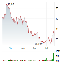 REAL REMAX GROUP INC Jahres Chart