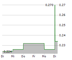 REVIVAL GOLD INC Chart 1 Jahr