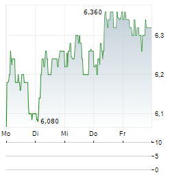 RVRC Aktie 5-Tage-Chart