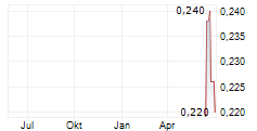 RZOLV TECHNOLOGIES INC Chart 1 Jahr