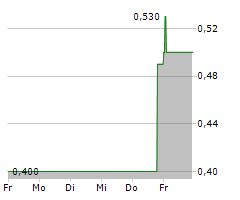 SECURIZE IT SOLUTIONS AG Chart 1 Jahr