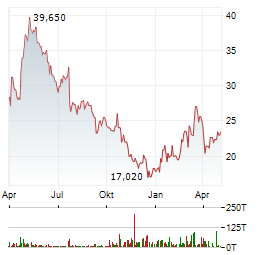 STEICO Aktie Chart 1 Jahr