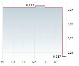 SURGE DIGITAL INC Chart 1 Jahr