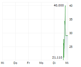 SWARMER INC Chart 1 Jahr