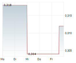 TINKA RESOURCES LIMITED Chart 1 Jahr