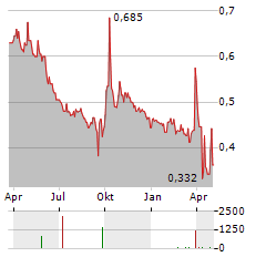 TRIUMPH NEW ENERGY Aktie Chart 1 Jahr